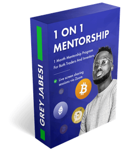 1 on 1 mentorship