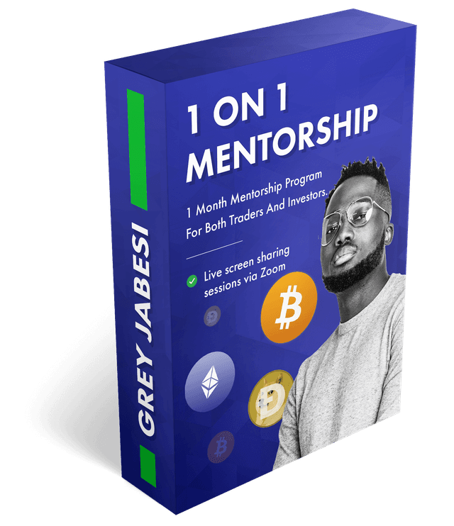 1 on 1 mentorship